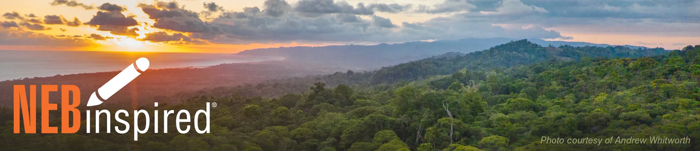 NEBinspired_OsaConservation_Blog_Banner_0425 Aerial view over trees of Osa Peninsula in Costa Rica at sunrise. Photo courtesy of Andrew Whitworth.