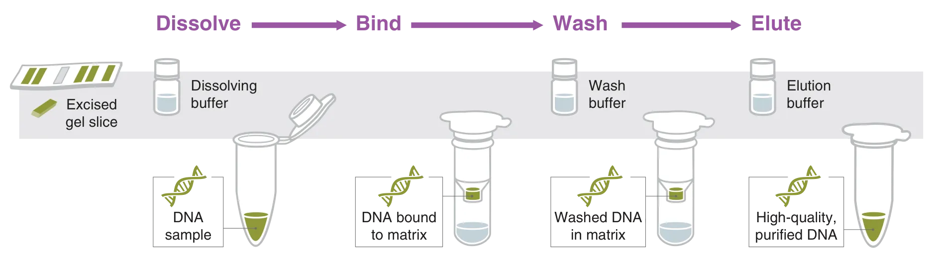 Workflow for DNA gel extraction for nucleic acid purification