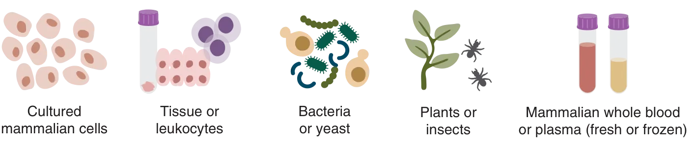 Illustration of cells, leukocytes, bacteria, yeast, plants, insects and blood, representing sample types for RNA extraction and purification