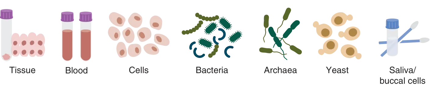 Illustration of tissue, blood, cells, bacteria, Archaea, yeast and saliva,  buccal cell swabs, representing sample types for gDNA extraction nucleic acid purification