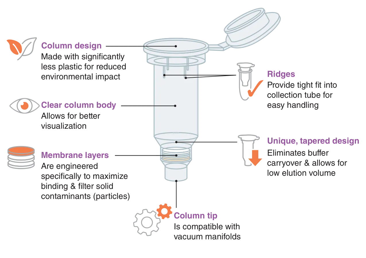 Graphic showing column design