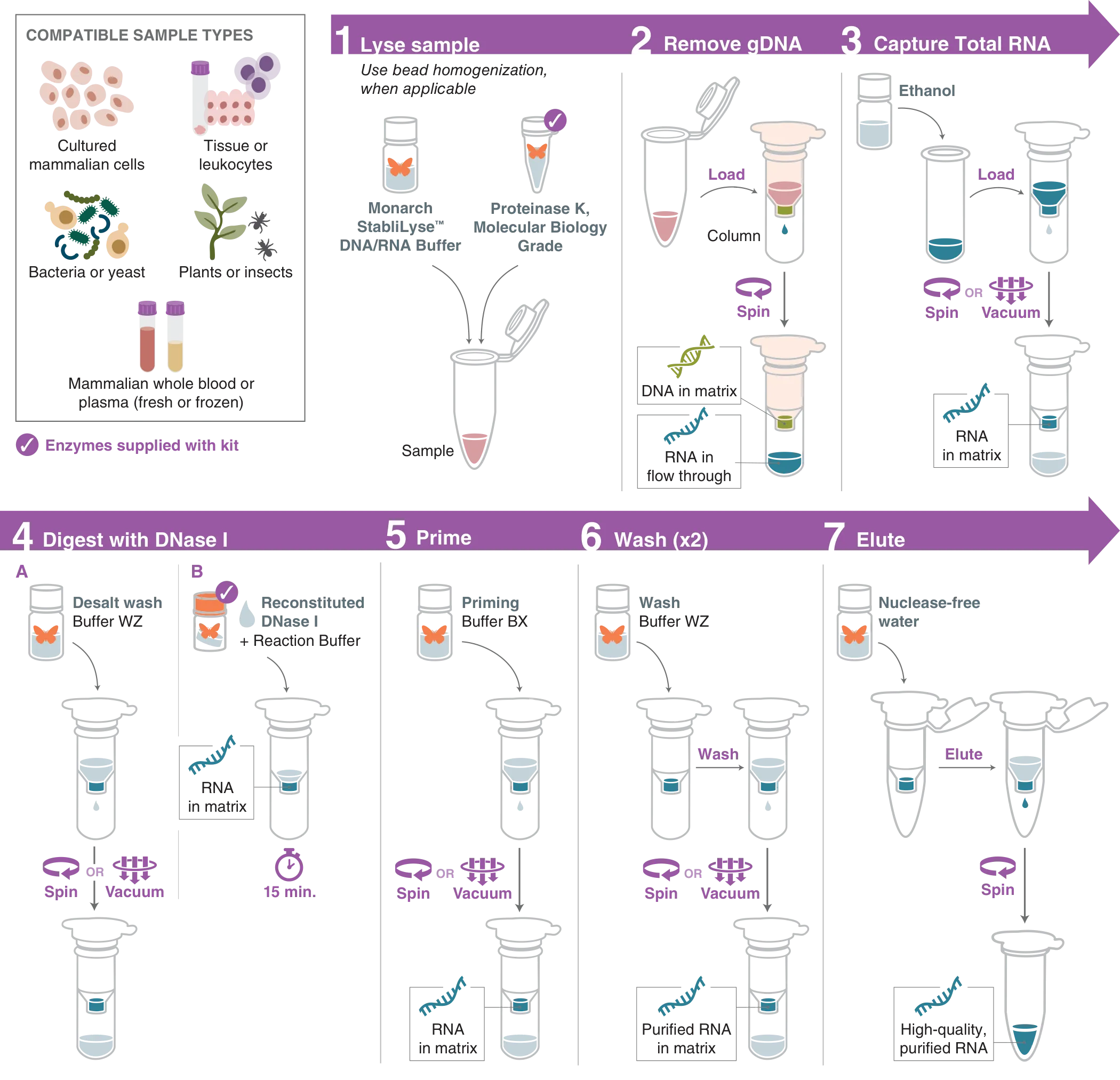 Workflow for the Monarch Spin RNA Isolation Kit